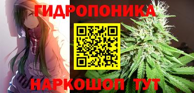 тгк Пенза
