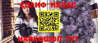 тгк Пенза